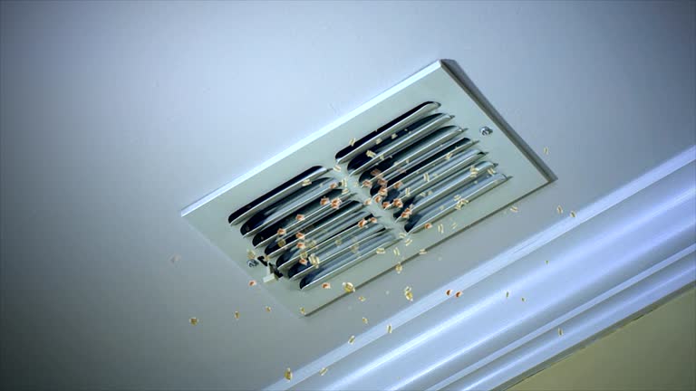 Best Affordable Air Duct Cleaning  in North Fort Myers, FL