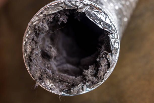 Reliable FL Airduct Cleaning Solutions