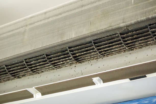 Best Duct Cleaning for Homes  in North Fort Myers, FL